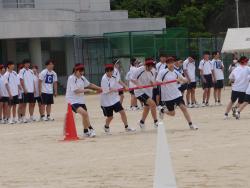 体育大会2025