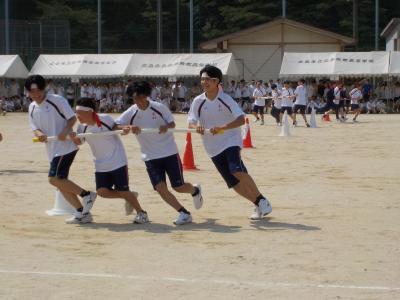 2026体育大会